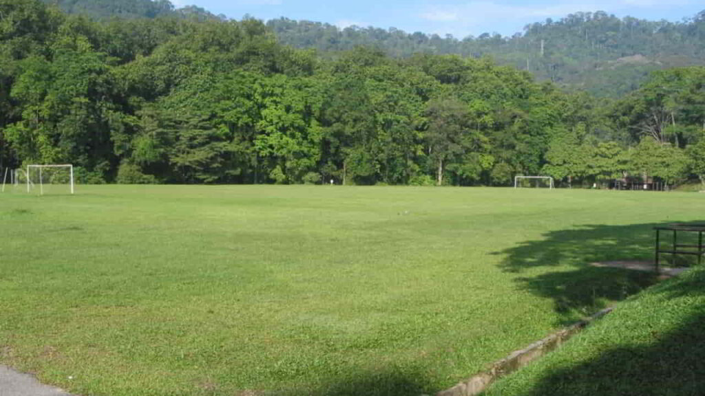 piawaian saiz padang untuk pertandingan antarabangsa