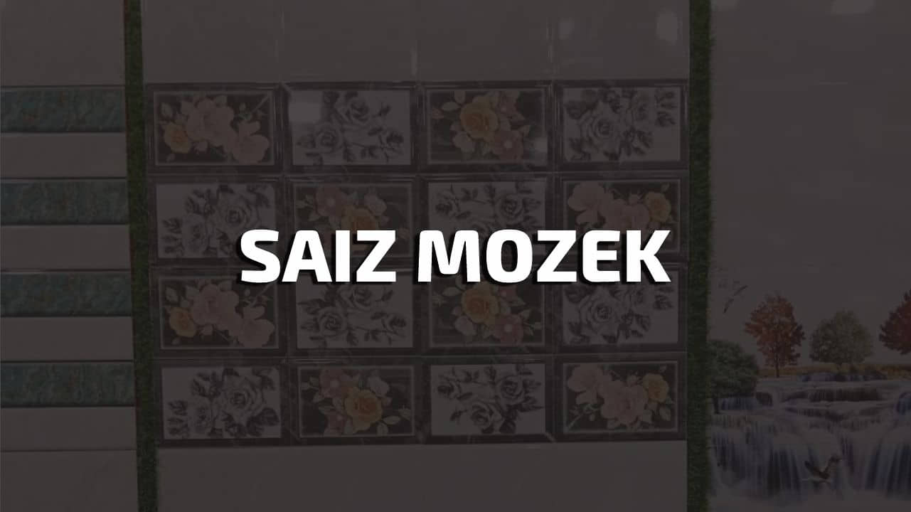 saiz mozek